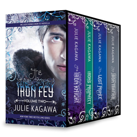 Cover image for book Iron Fey Series Volume 2