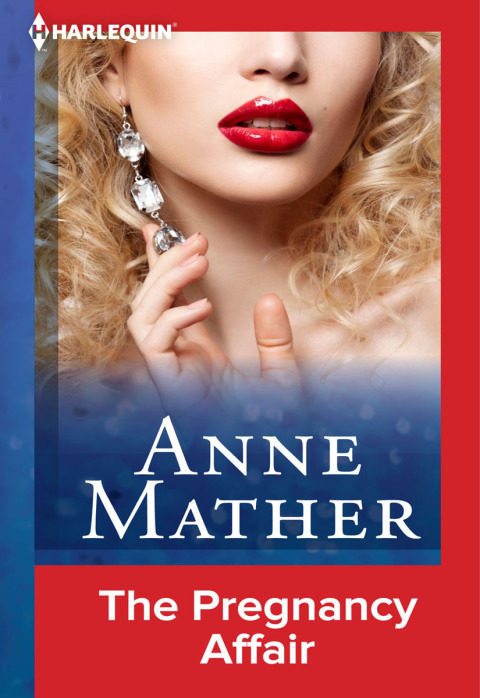 Cover image for book The Pregnancy Affair