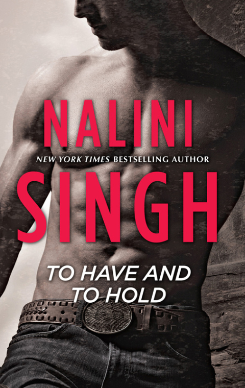 Cover image for book To Have and to Hold