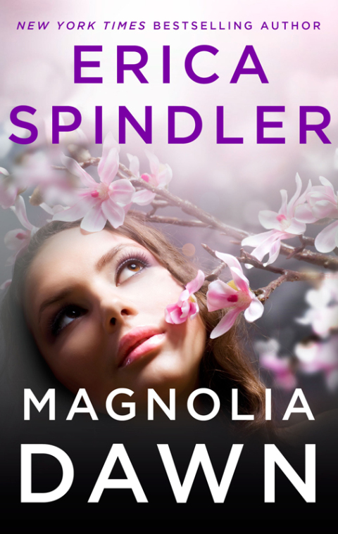 Cover image for book Magnolia Dawn