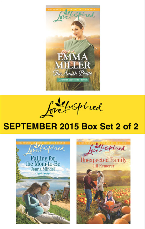 Cover image for book Love Inspired September 2015 - Box Set 2 of 2