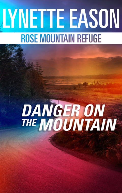 Cover image for book Danger on the Mountain