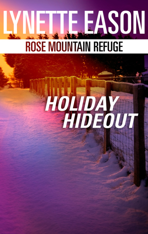 Cover image for book Holiday Hideout