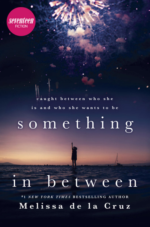 Cover image for book Something in Between