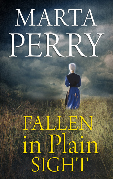 Cover image for book Fallen in Plain Sight