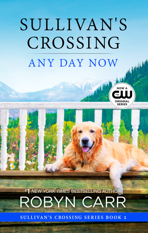 Cover image for book Any Day Now
