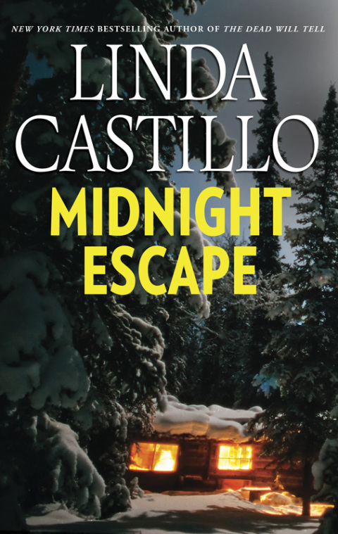 Cover image for book Midnight Escape
