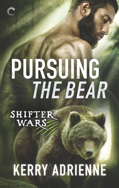 Cover image for book Pursuing the Bear