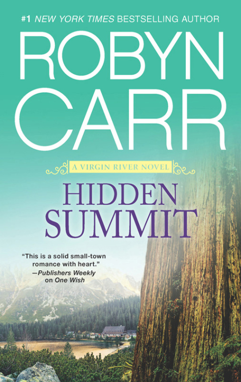 Cover image for book Hidden Summit