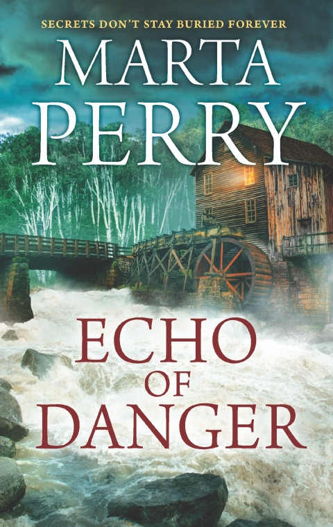 Cover image for book Echo of Danger