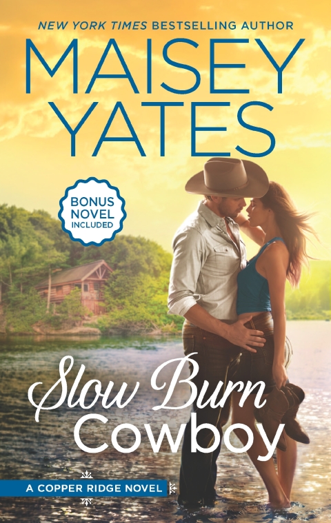 Cover image for book Slow Burn Cowboy
