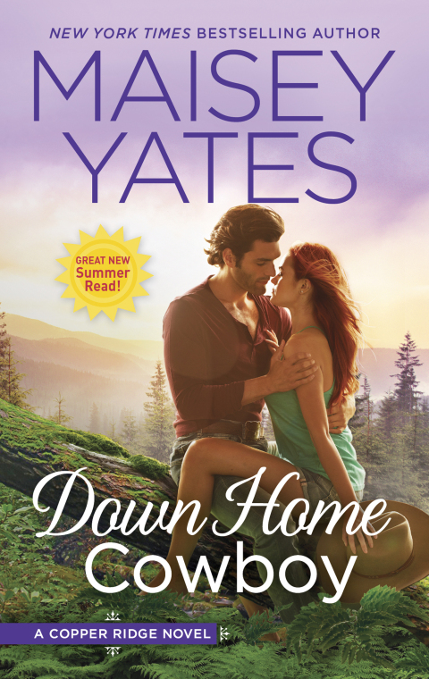 Cover image for book Down Home Cowboy