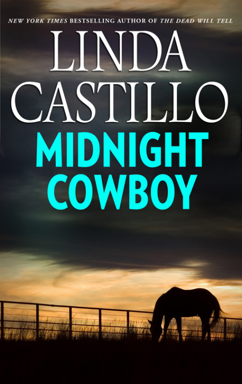 Cover image for book Midnight Cowboy