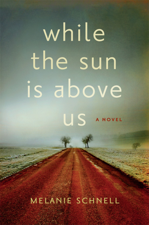 Cover image for book While the Sun Is Above Us