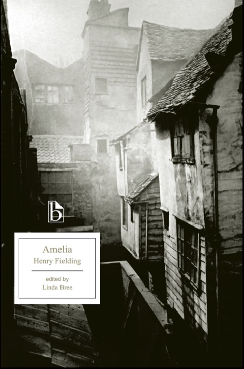 Cover image for book Amelia