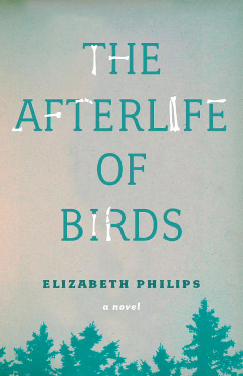 Cover image for book The Afterlife of Birds