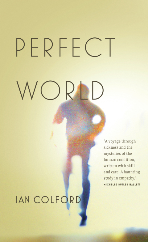 Cover image for book Perfect World