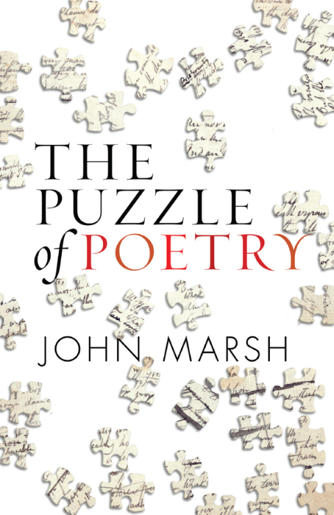 Cover image for book The Puzzle of Poetry