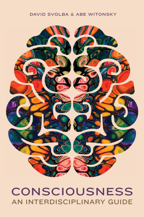 Cover image for book Consciousness: An Interdisciplinary Guide