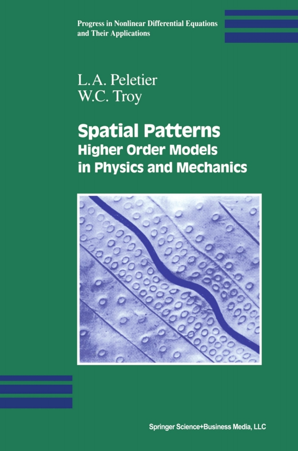 Spatial Patterns (eBook)