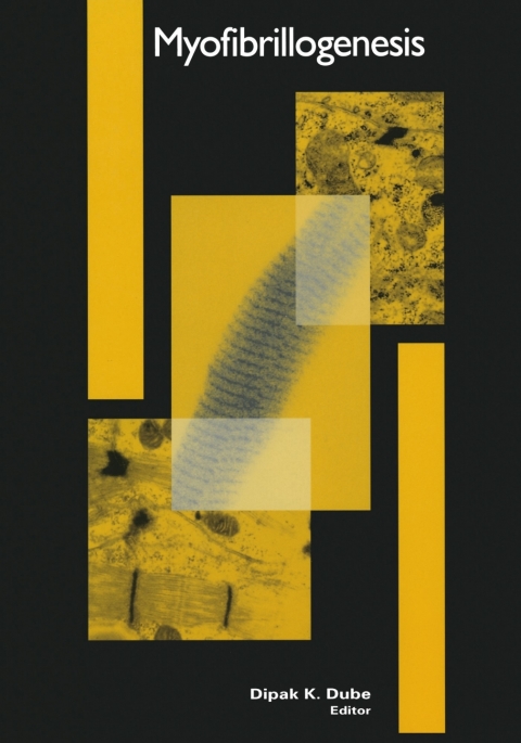 Cover image for book Myofibrillogenesis