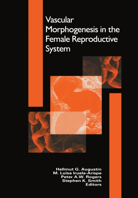 Vascular Morphogenesis in the Female Reproductive System 
