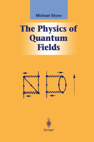 The Physics of Quantum Fields