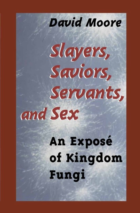 Slayers, Saviors, Servants and Sex 