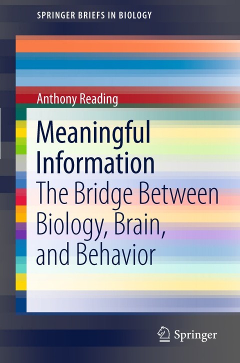 Cover image for book Meaningful Information
