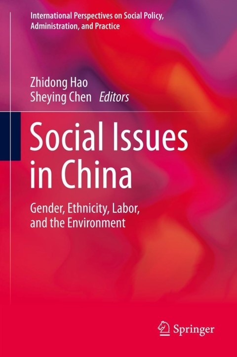 Cover image for book Social Issues in China