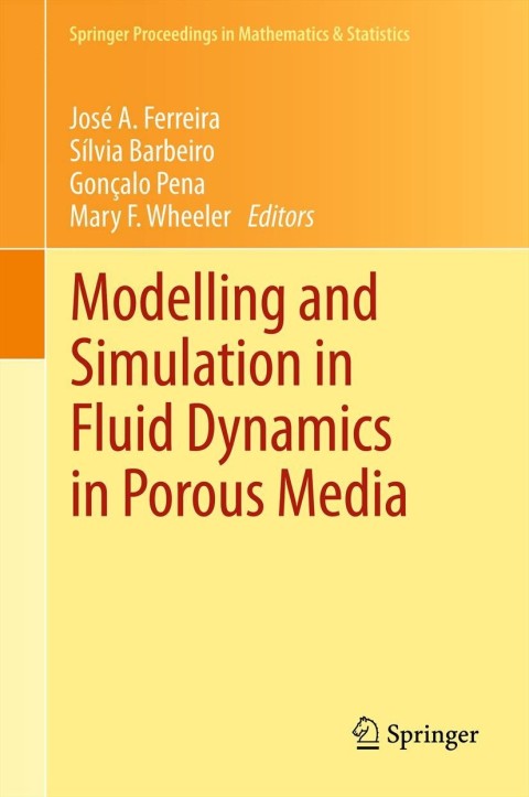 Cover image for book Modelling and Simulation in Fluid Dynamics in Porous Media