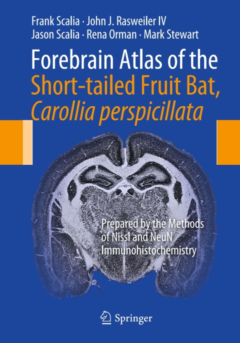 Forebrain Atlas of the Short-tailed Fruit Bat, Carollia perspicillata 