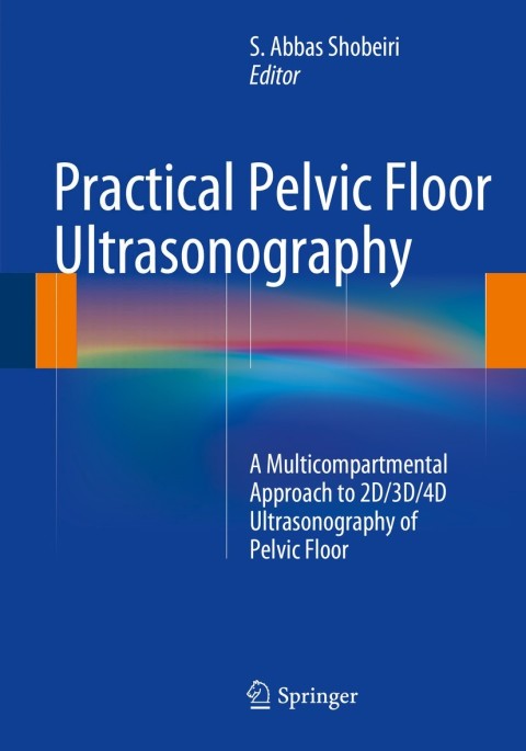 Cover image for book Practical Pelvic Floor Ultrasonography