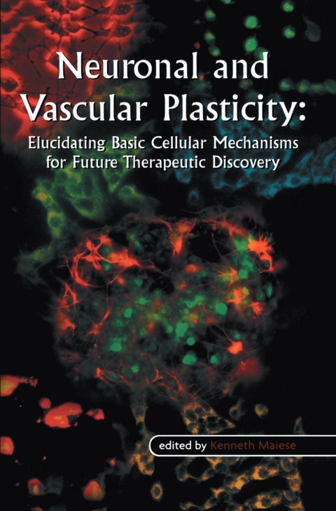 Cover image for book Neuronal and Vascular Plasticity