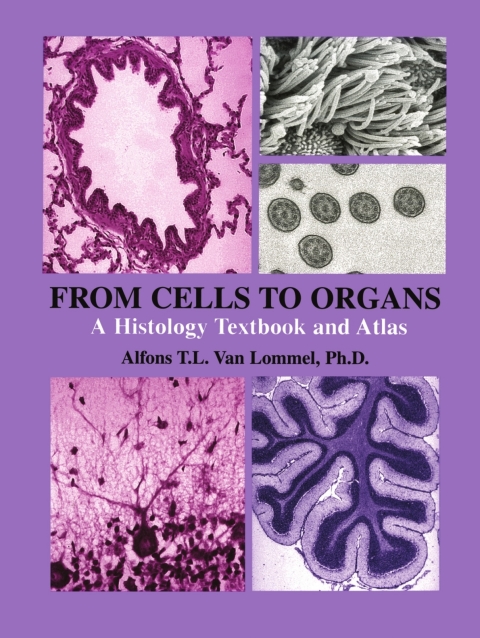 Cover image for book From Cells to Organs