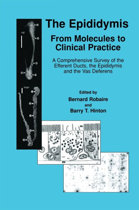 Cover image for book The Epididymis: From Molecules to Clinical Practice