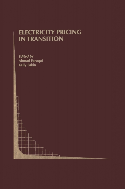 Cover image for book Electricity Pricing in Transition