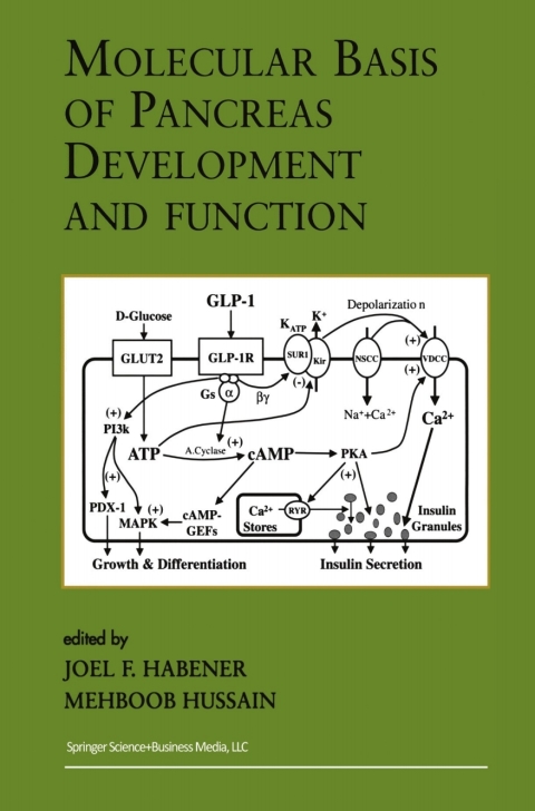 Cover image for book Molecular Basis of Pancreas Development and Function