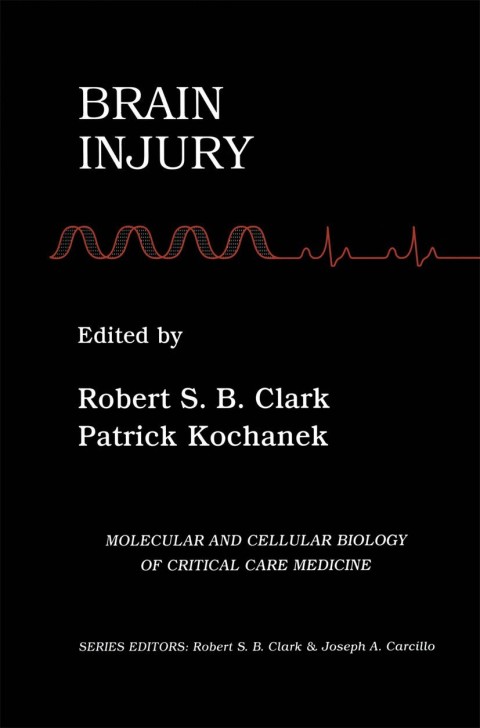 Cover image for book Brain Injury