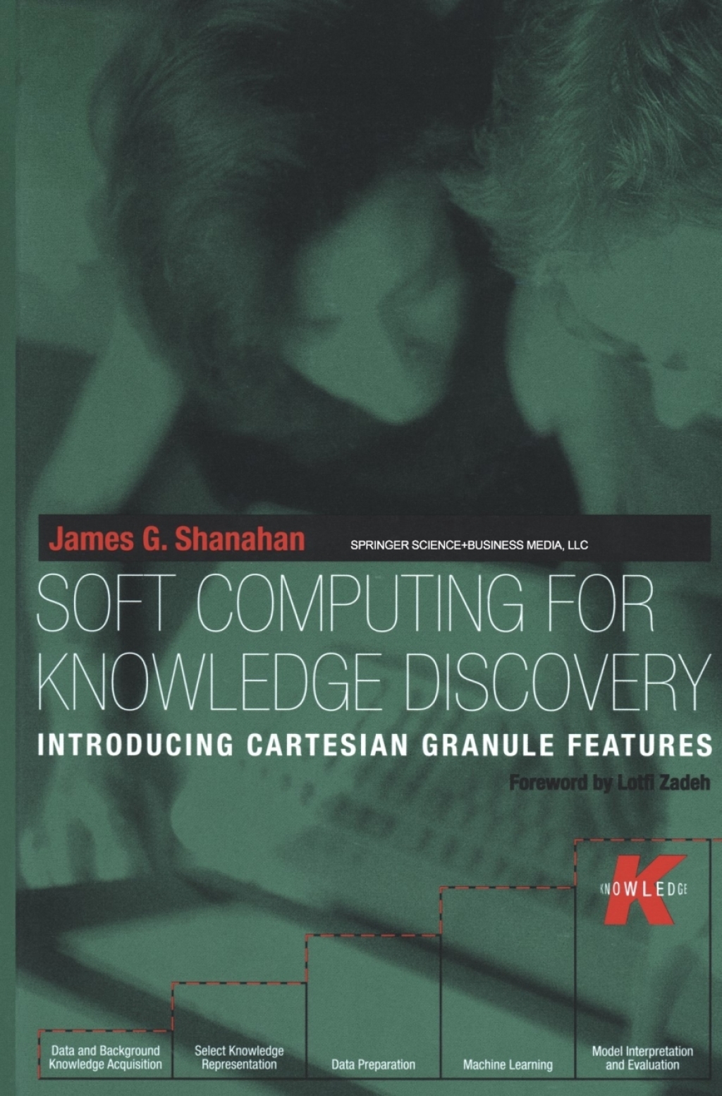 Soft Computing for Knowledge Discovery (eBook)