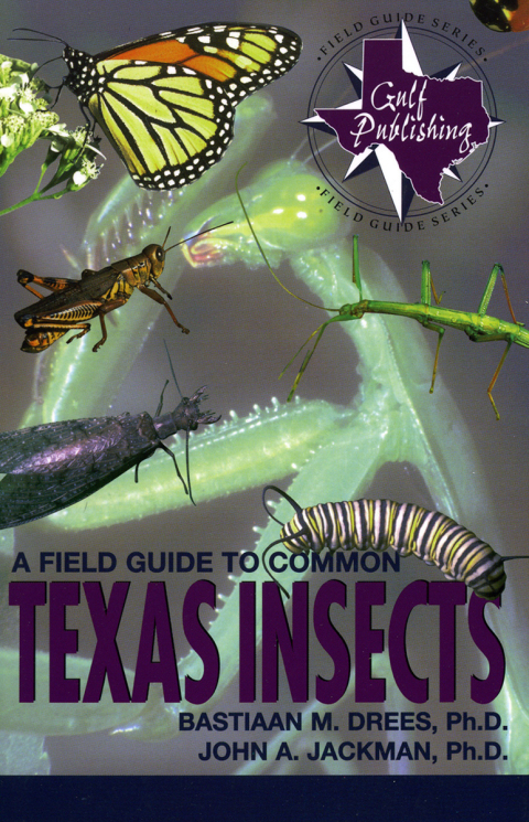 Cover image for book A Field Guide to Common Texas Insects
