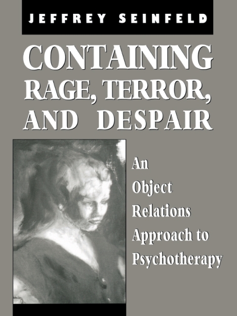 Cover image for book Containing Rage, Terror and Despair