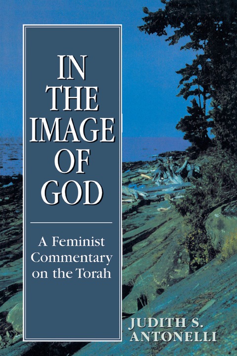 Cover image for book In the Image of God