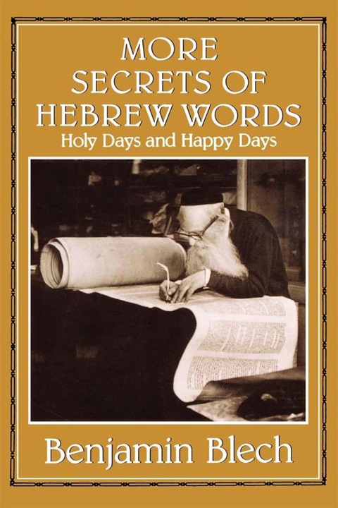 Cover image for book More Secrets of Hebrew Words