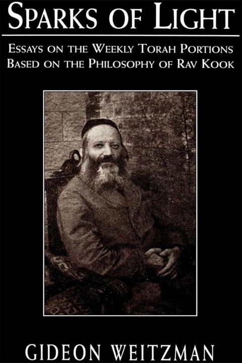 Cover image for book Sparks of Light