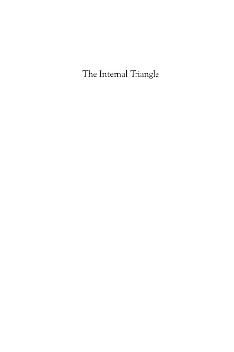Cover image for book The Internal Triangle