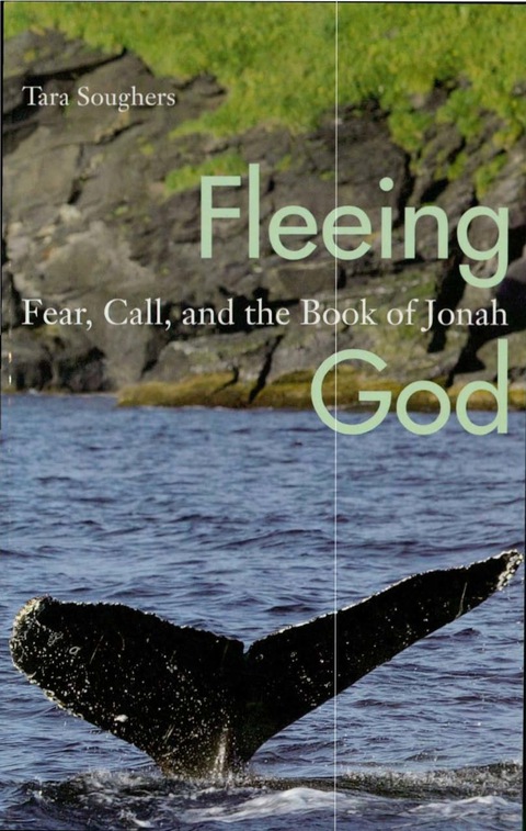 Cover image for book Fleeing God