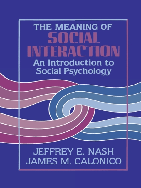 Meaning of Social Interaction 