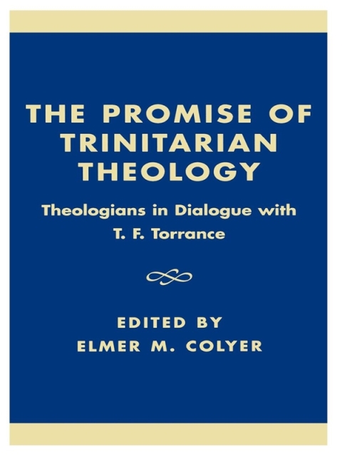Cover image for book The Promise of Trinitarian Theology