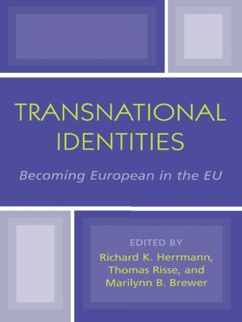 Cover image for book Transnational Identities
